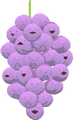 Member Berries