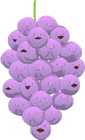 Memberberries