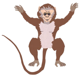Animals-phonics-monkey