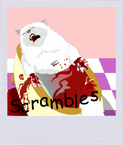 小撓撓 Scrambles