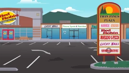 Mall-shops-twin-pines-plaza