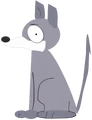 Rex