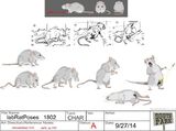 This shows stages of production for the Lab Rat; storyboards, character design, special poses, even reference art.