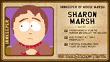 Character Card in South Park: The Stick of Truth.