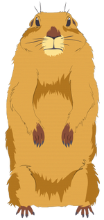 Dramatic-look-gopher.png