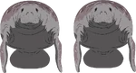 Manatees