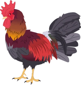 Non-human-other-pets-fluffy