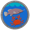 Badge fishing