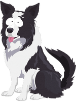 Pets-patches.png