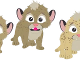 ピューマの幼獣たち
