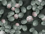 AIDS shown under a microscope.