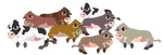 Animals-baby-cows