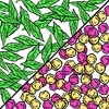 Mintberrycrunch power3