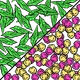 Mintberrycrunch power3