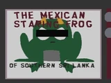 La Rana Mexicana de Mirada Fija del Sur de Sri Lanka