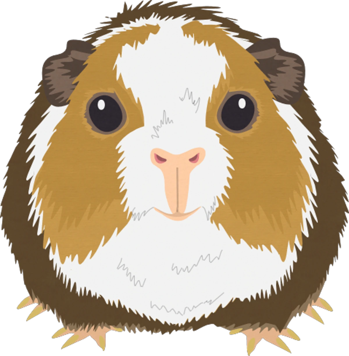 Stripe Wiki South Park Fandom