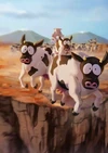 Cow Stampede
