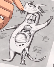 Encyclopedia Betelgeuse.png
