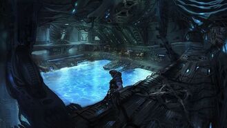 Pool for the Parasite.jpg