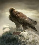 Andia Eagle