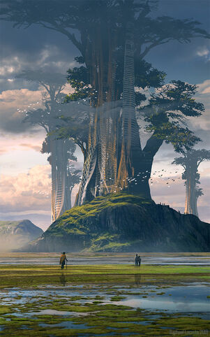 Raphael-lacoste-giant-tree