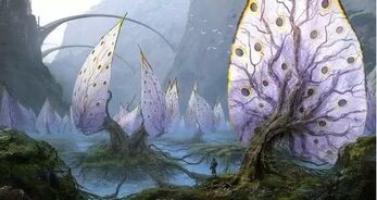 Alien Plants.jpg