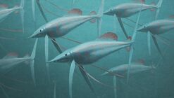 Takke Fish.jpg