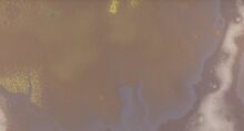 Grand Plateau.jpg