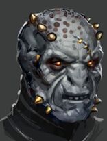 Warrior Caste Obika.jpg