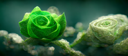 Emerald Blossom