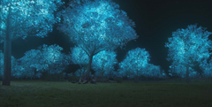 Caeruleum Lumina Tree.png