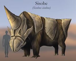Sisobe.jpg