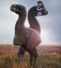 Arkon fauna terekuil.jpg