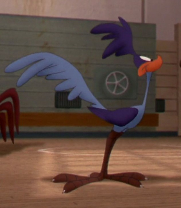 Road Runner Space Jam Wiki Fandom