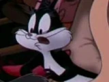 Penelope Pussycat