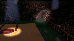 Michael jordan arm store stretch space jam