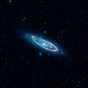 WISE- Andromeda
