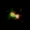 B14-65666