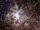 593px-Tarantula Nebula TRAPPIST.jpg