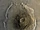 Olympus Mons