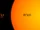 UY Scuti