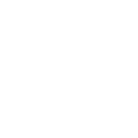 IconShield.png