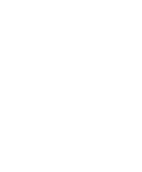 IconDefense