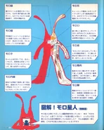 Morolian Gyun Gyun Page 22.png (2.29 MB) An interpretation of Morolian anatomy.