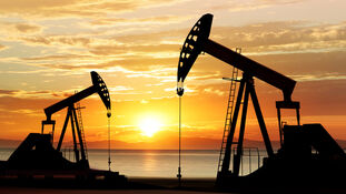 Petroleum extraction