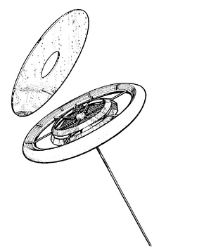 Stanford torus.png
