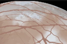 An early sneak peek of Europa, showing surface features (such as lineae, surface ice and craters).