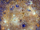 Caloris Planitia