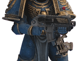 Bolter (campaign)