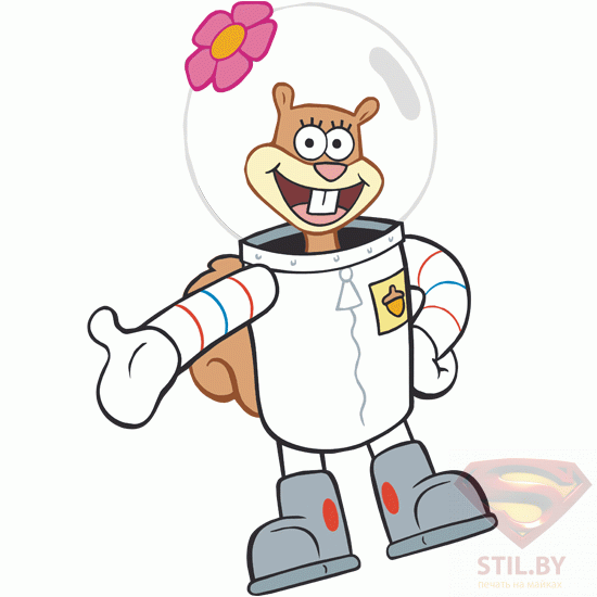 Белка из спанч боба картинки